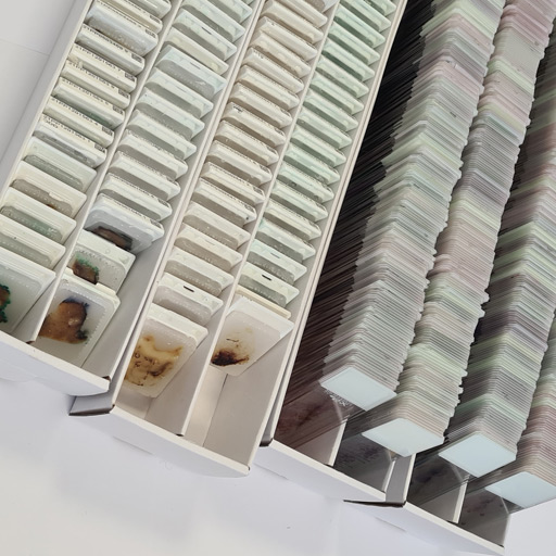 Technipath crée son Centre de Ressources Biologiques !