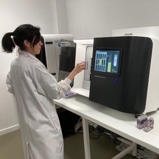 La pathologie numérique pour le diagnostic de routine : on y est presque !